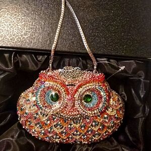 Owl Clutch